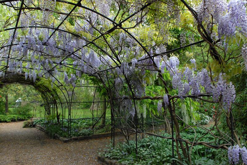 Eccleston Square